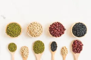 Different types of seeds are essential  food for eye health.